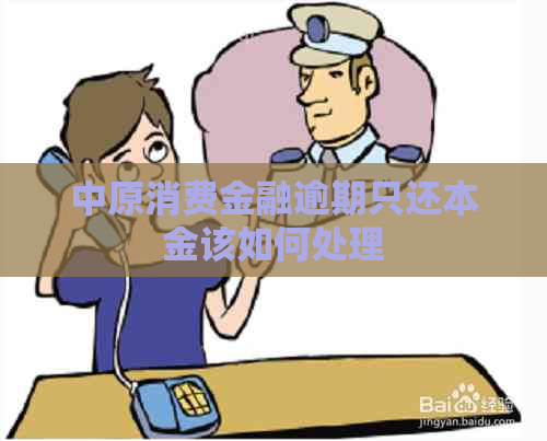 中原消费金融逾期只还本金该如何处理
