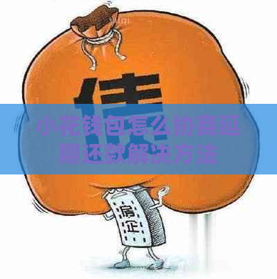 小花钱包怎么协商延期还款解决方法