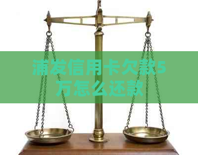 浦发信用卡欠款5万怎么还款