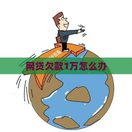 网贷欠款1万怎么办
