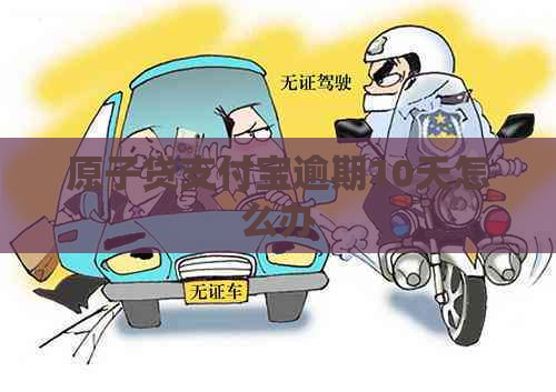原子贷信用卡逾期10天怎么办