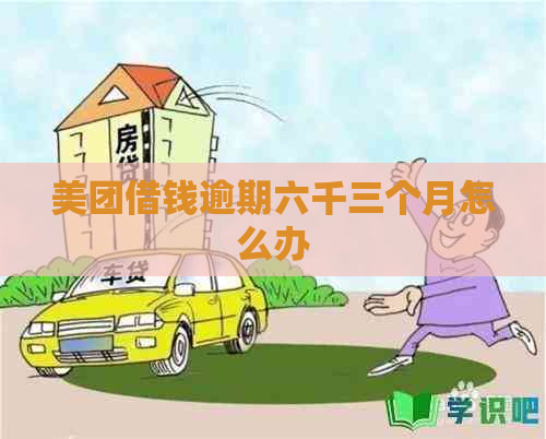 美团借钱逾期六千三个月怎么办