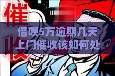 信用卡5万逾期几天上门该如何处理