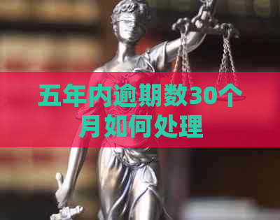 五年内逾期数30个月如何处理