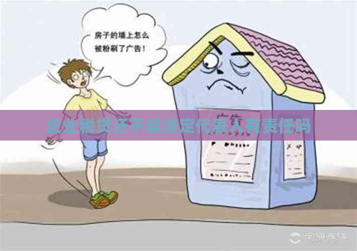 企业税贷还不起法定代表人有责任吗