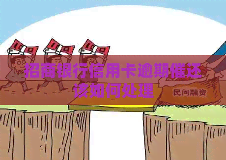 招商银行信用卡逾期催还该如何处理