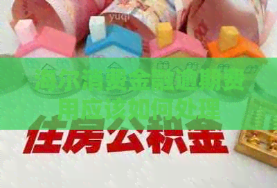 海尔消费金融逾期费用应该如何处理