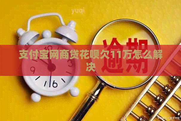 信用卡白条贷白条欠11万怎么解决