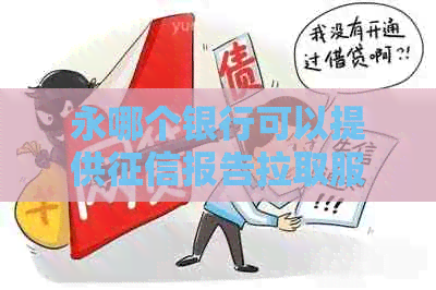 永哪个银行可以提供报告拉取服务——完整信息一览