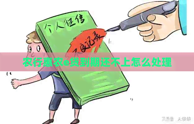 农行惠农e贷到期还不上怎么处理