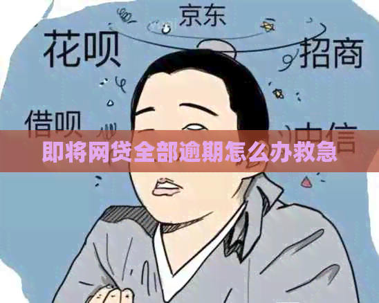 即将网贷全部逾期怎么办救急