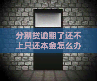 分期贷逾期了还不上只还本金怎么办