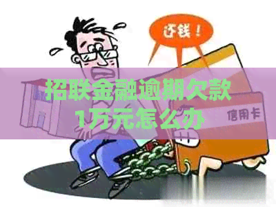 招联金融逾期欠款1万元怎么办