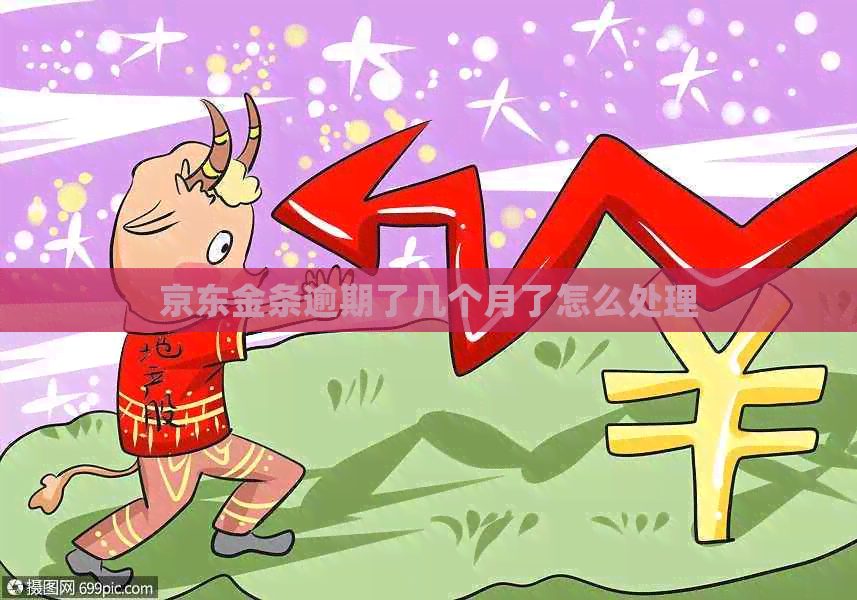 京东金条逾期了几个月了怎么处理