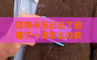 信用卡忘记还了逾期了一周怎么办教你有效解决