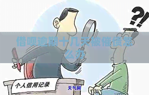 信用卡逾期十几天被催债怎么办