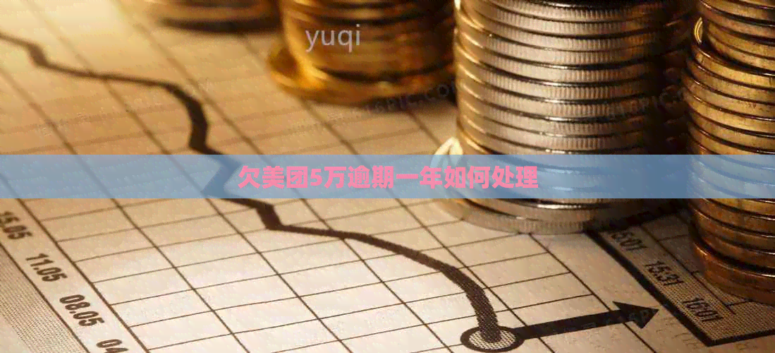 欠美团5万逾期一年如何处理