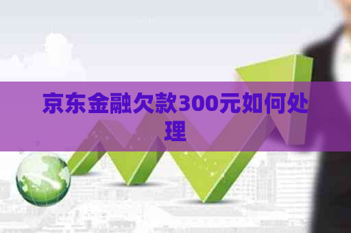 京东金融欠款300元如何处理