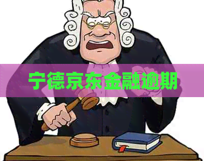 宁德京东金融逾期