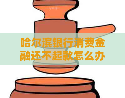 哈尔滨银行消费金融还不起款怎么办呢