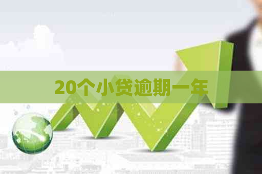 20个小贷逾期一年