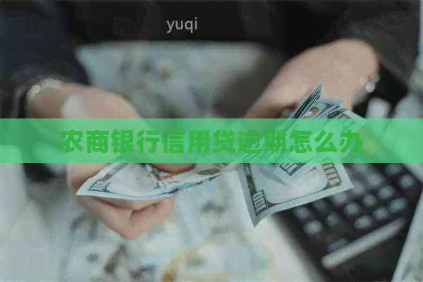 农商银行信用贷逾期怎么办