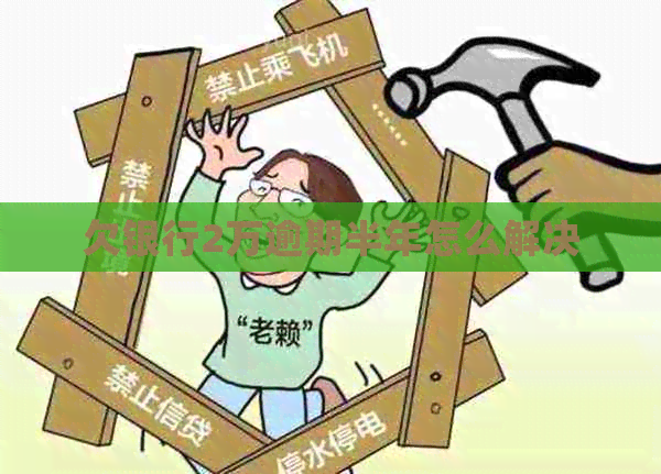欠银行2万逾期半年怎么解决