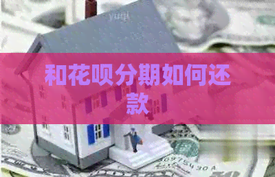 和白条分期如何还款
