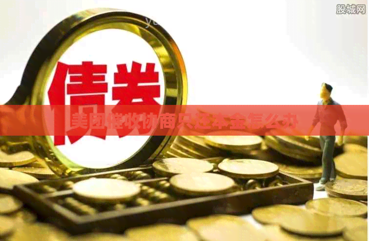 美团协商只还本金怎么办