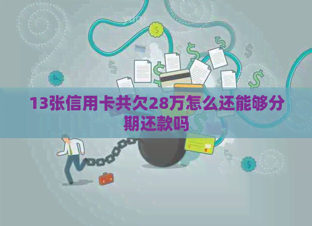 13张信用卡共欠28万怎么还能够分期还款吗