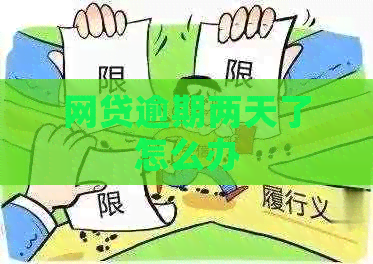 网贷逾期两天了怎么办