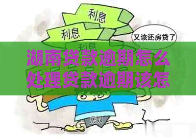 湖南贷款逾期怎么处理贷款逾期该怎么办理