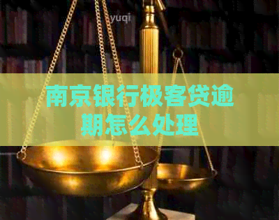 南京银行极客贷逾期怎么处理