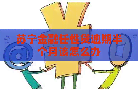 苏宁金融任性贷逾期半个月该怎么办