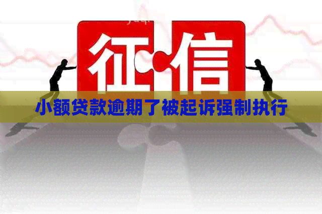 小额贷款逾期了被起诉强制执行