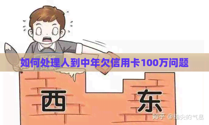 如何处理人到中年欠信用卡100万问题