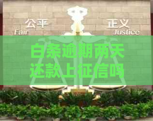 白条逾期两天还款上吗
