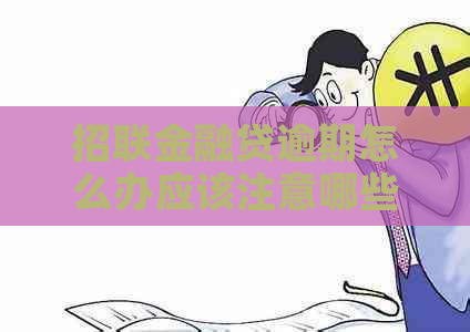 招联金融贷逾期怎么办应该注意哪些问题