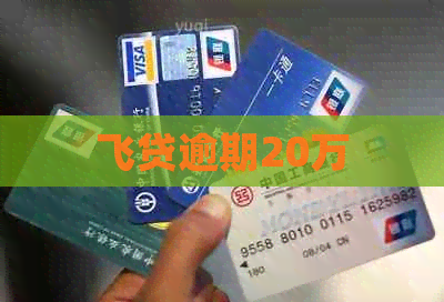 飞贷逾期20万