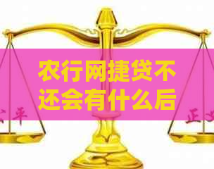 农行网捷贷不还会有什么后果呢