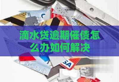 滴水贷逾期催债怎么办如何解决