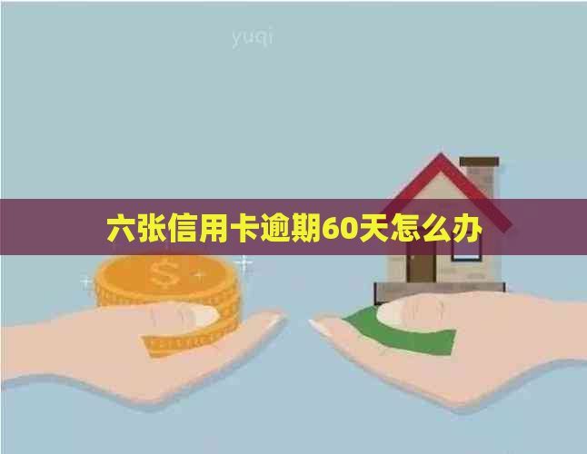 六张信用卡逾期60天怎么办
