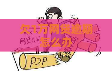 欠1万网贷逾期怎么办
