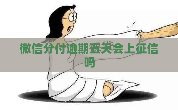 微信分付逾期五天会上吗