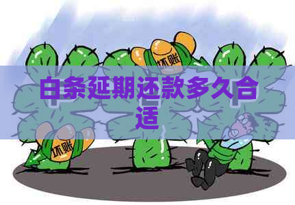 白条延期还款多久合适