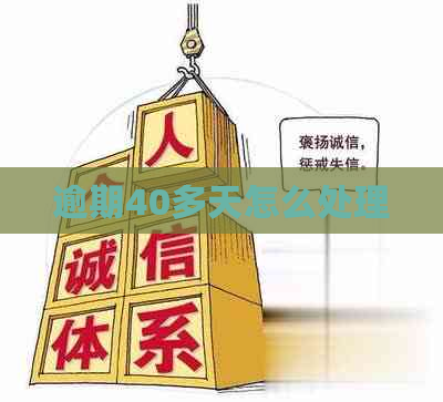 逾期40多天怎么处理
