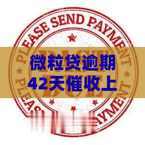 微粒贷逾期42天上门注意事项及方式