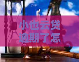 小也云贷逾期了怎么办