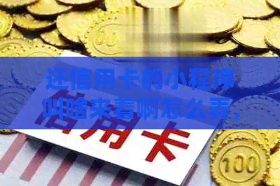 还信用卡的小程序叫啥来着啊怎么弄，求推荐