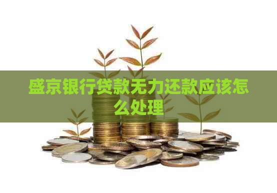盛京银行贷款无力还款应该怎么处理
